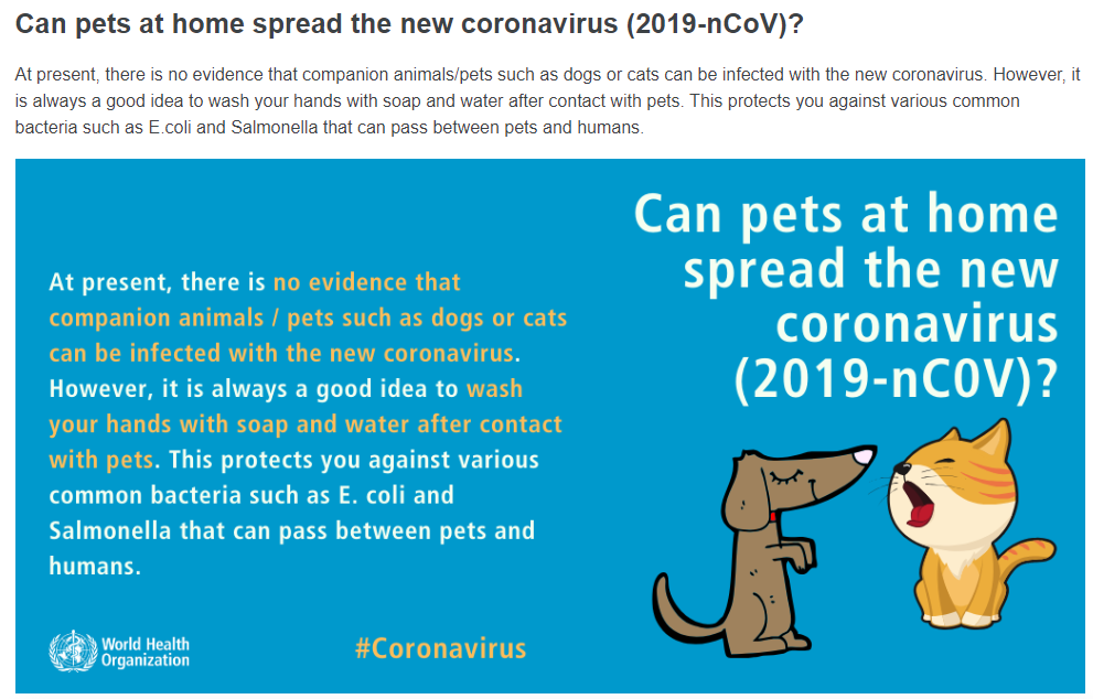 oms cani gatti coronavirus - 1