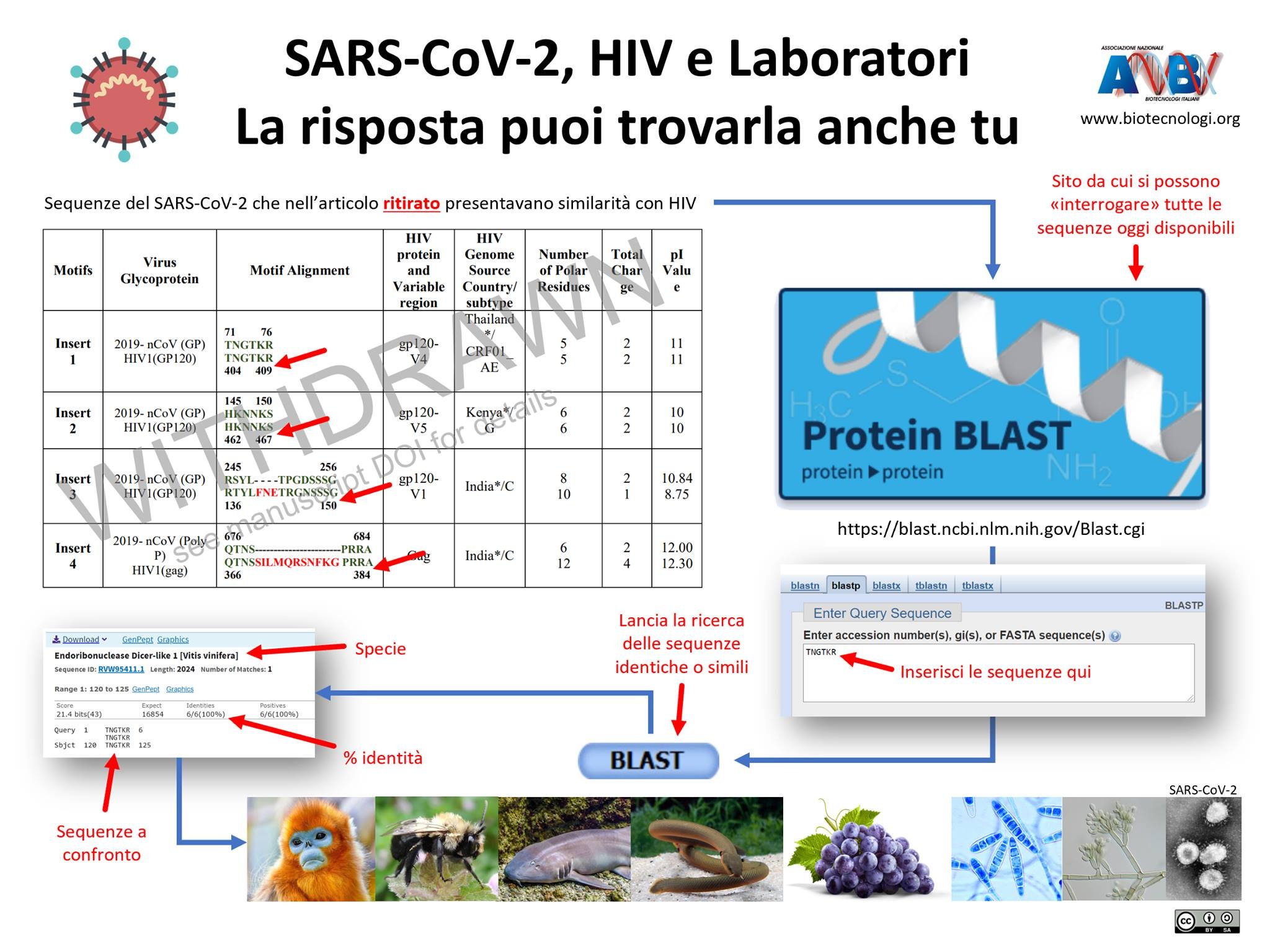 biotecnologi coronavirus hiv