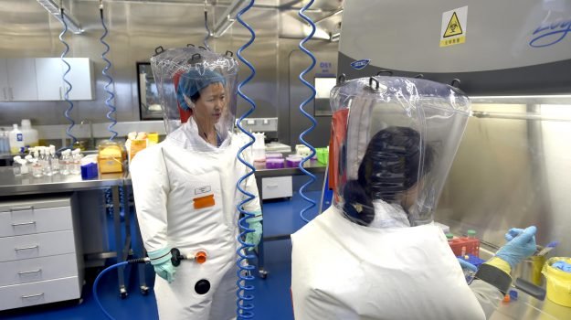 “Il virus non è nato in laboratorio”: l’Oms smentisce (definitivamente) Salvini e Meloni article-post
