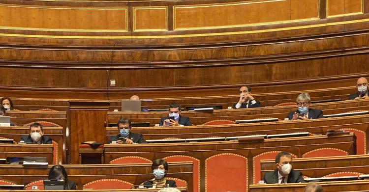 senatori m5s positivi coronavirus senato