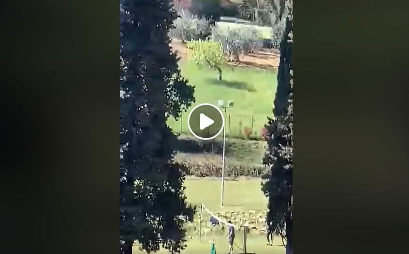 Il video che accusa la famiglia di Renzi di violare la quarantena (è una bufala) preview