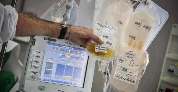 coronavirus cura del sangue plasma iperimmune 1