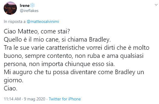 La figuraccia di Salvini con il video del cane che porta la spesa preview