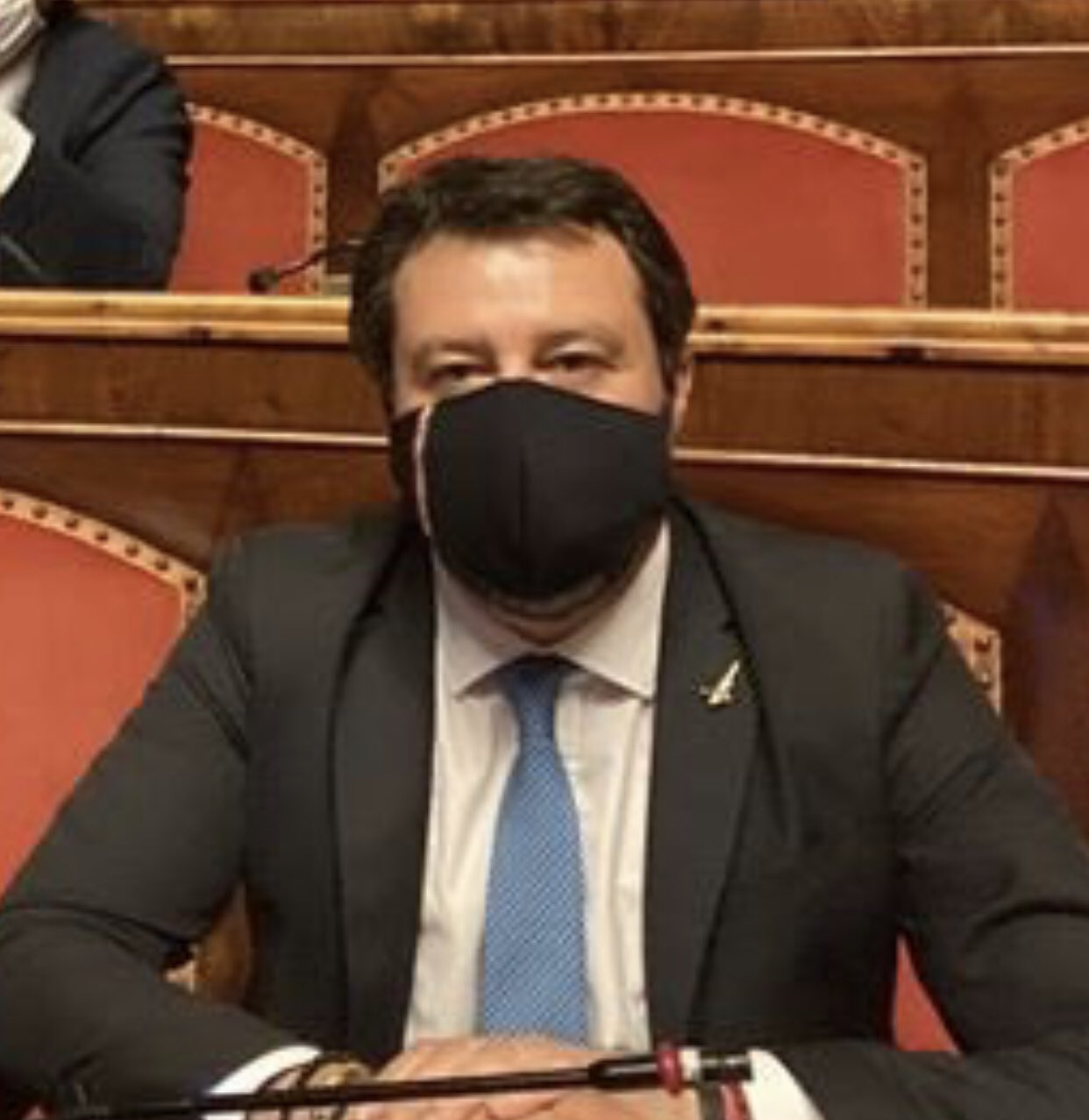 salvini mascherina
