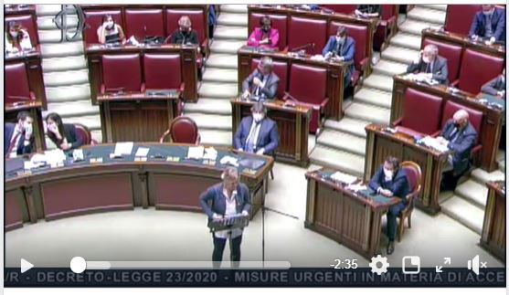 Il discorso di Sara Cunial su Decreto Liquidità e Signoraggio preview