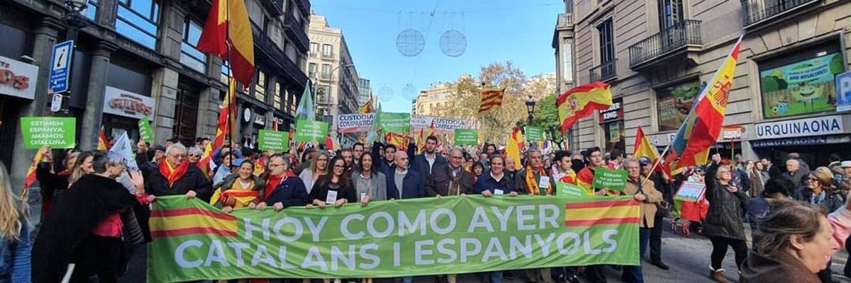 Vox: le manifestazioni dell’estrema destra contro il lockdown in Spagna article-post