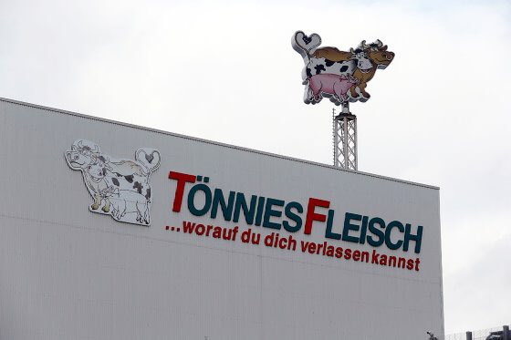 Coronavirus in Germania: come sono nati i focolai nei macelli tedeschi article-post