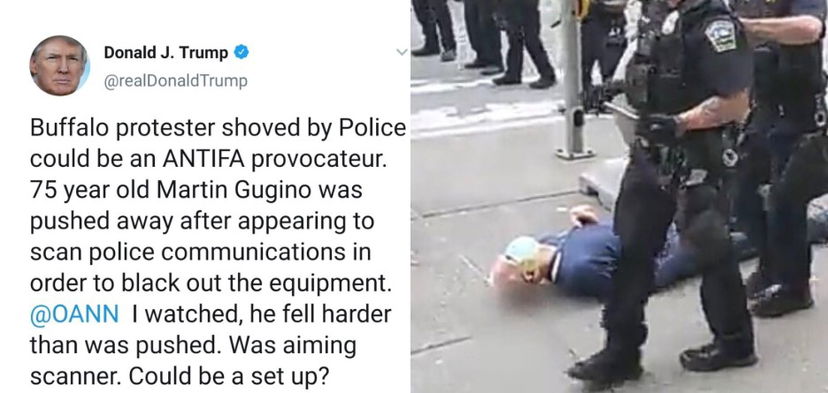 Trump twitta fake news su Martin Gugino come un complottaro qualsiasi preview