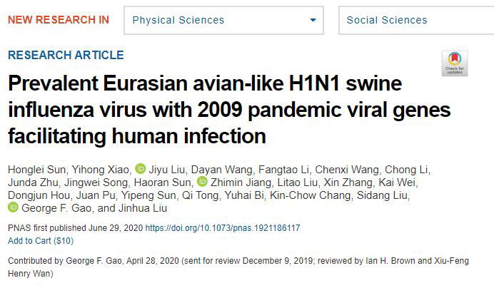 Il nuovo virus dell’influenza potenzialmente pandemico identificato in Cina nei maiali article-post