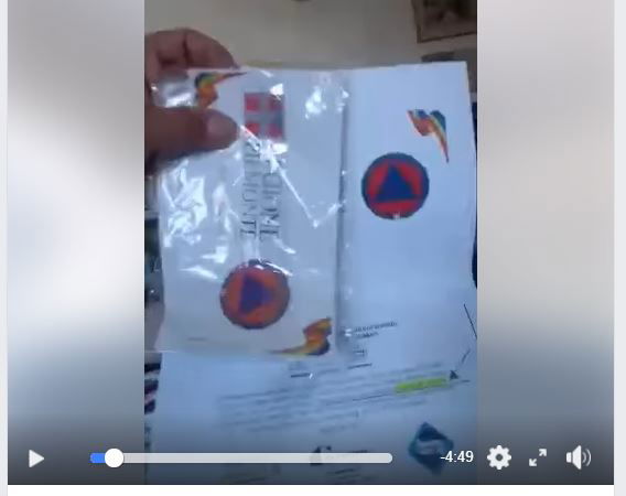 La storia delle mascherine con zinco piritione della Regione Piemonte preview