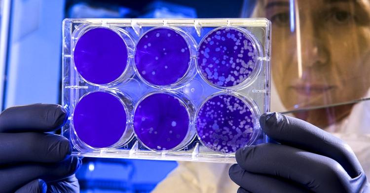 coronavirus campania focolaio centro estivo asilo cimitile