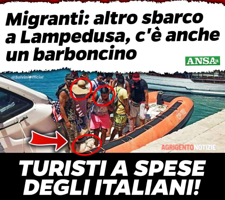 La storia della donna con il barboncino sbarcata dalla Tunisia article-post