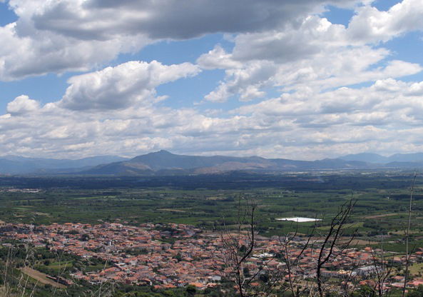 Focolaio di Mondragone: chiusa l’azienda agricola di Falciano del Massico article-post