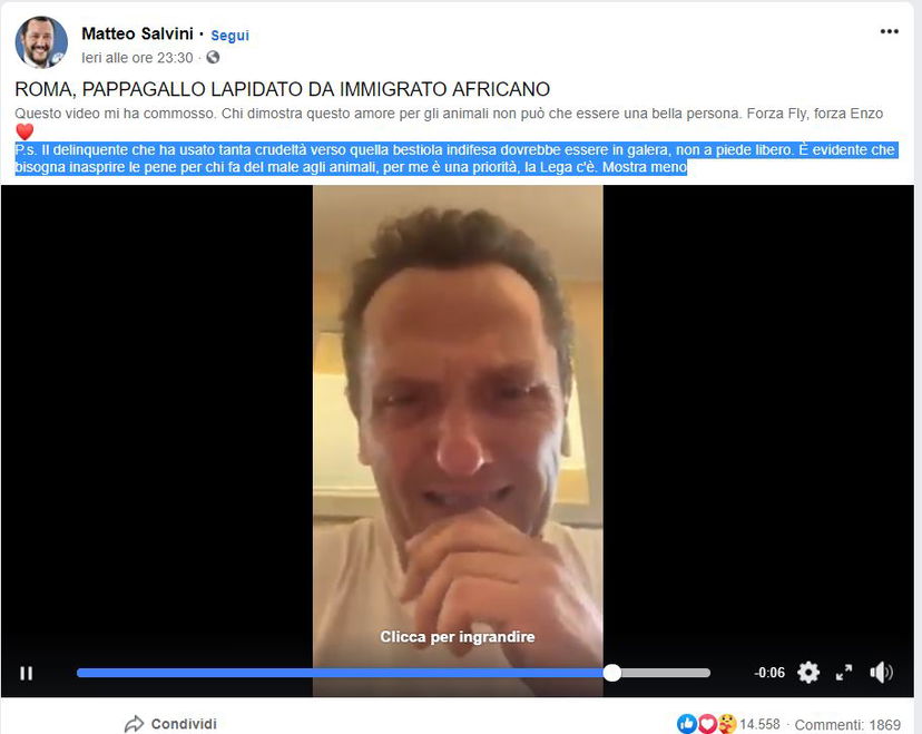 Salvini è fatto così: per gli animali ci vuole una legge nuova, per chi discrimina i gay no article-post