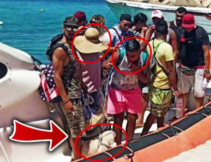 Cosa c’è dietro la storia dei tunisini con il barboncino sbarcati in Sicilia article-post