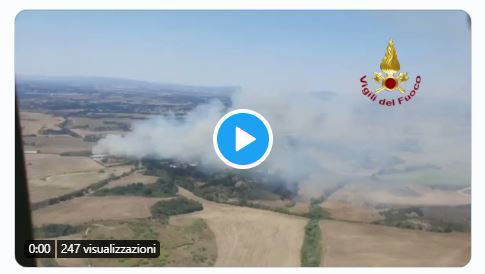 L’incendio di sterpaglie in via Castel di Guido preview