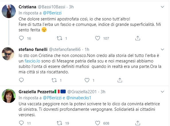 berizzi nubifragio verona salvini 3