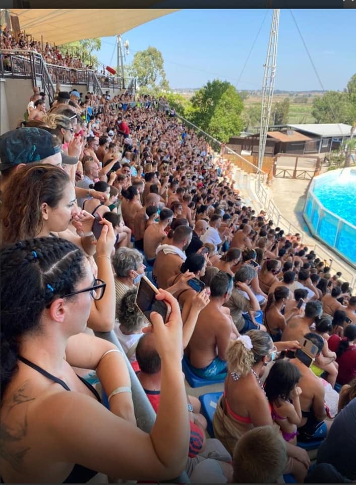 Zoomarine e gli spettatori seduti vicininissimi e senza mascherina article-post