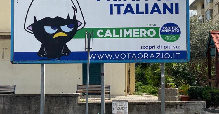partito animato calimero