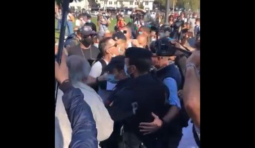 manifestazione negazionisti roma video proteste contro polizia