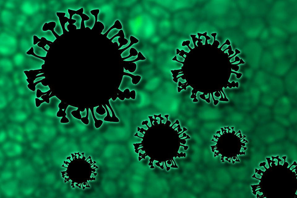Quanti parlamentari sono positivi al Coronavirus? article-post