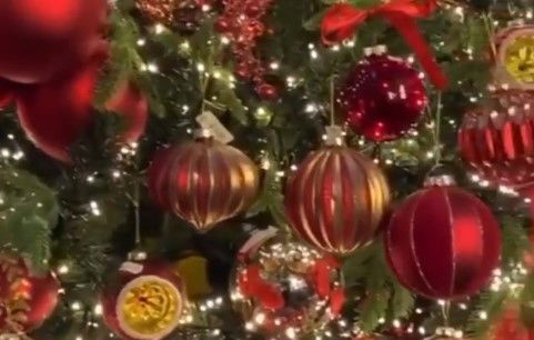 cosa apre natale 2020
