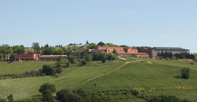 focolaio covid san patrignano