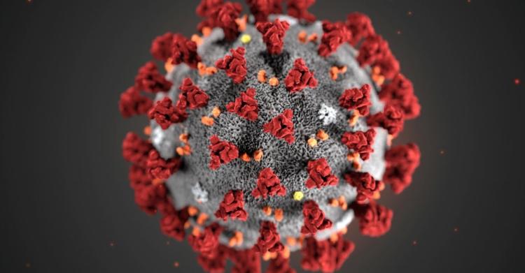 cure domiciliari covid mappa diffusione varianti covid regioni