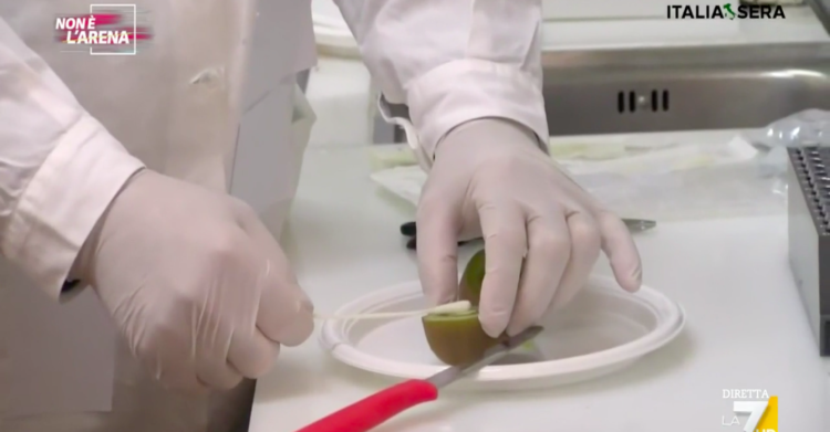 Mariano Amici tamponi kiwi