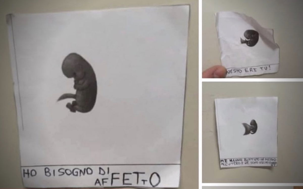 L’assurda spiegazione del giovane autore delle immagini dei feti appese in una scuola article-post