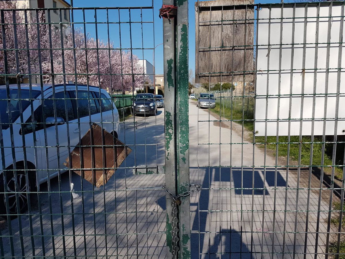 Il picnic nomask dei 50 negazionisti a Cesenatico article-post