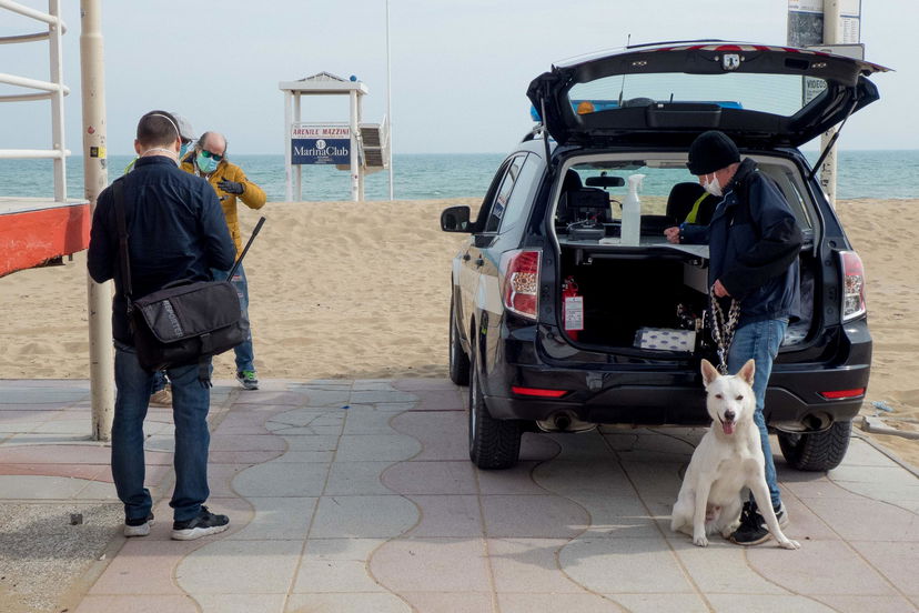 Cosa si rischia a fare un picnic a Pasquetta 2021 article-post