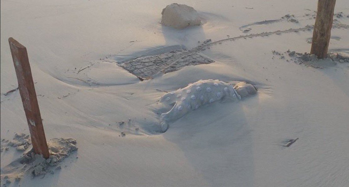 bambini morti spiaggia libia