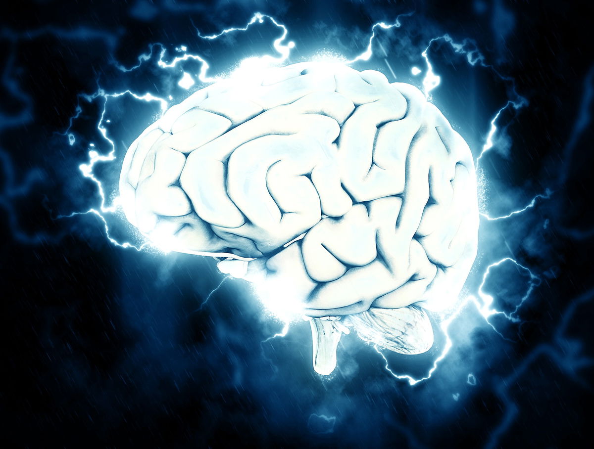 Cos’è questa storia della similitudine tra il cervello maschile e i testicoli article-post