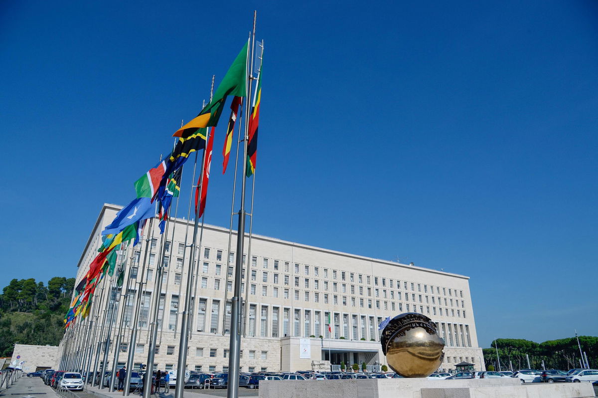 Per l’ingegnere italiano rapito ad Haiti è stato chiesto un riscatto article-post
