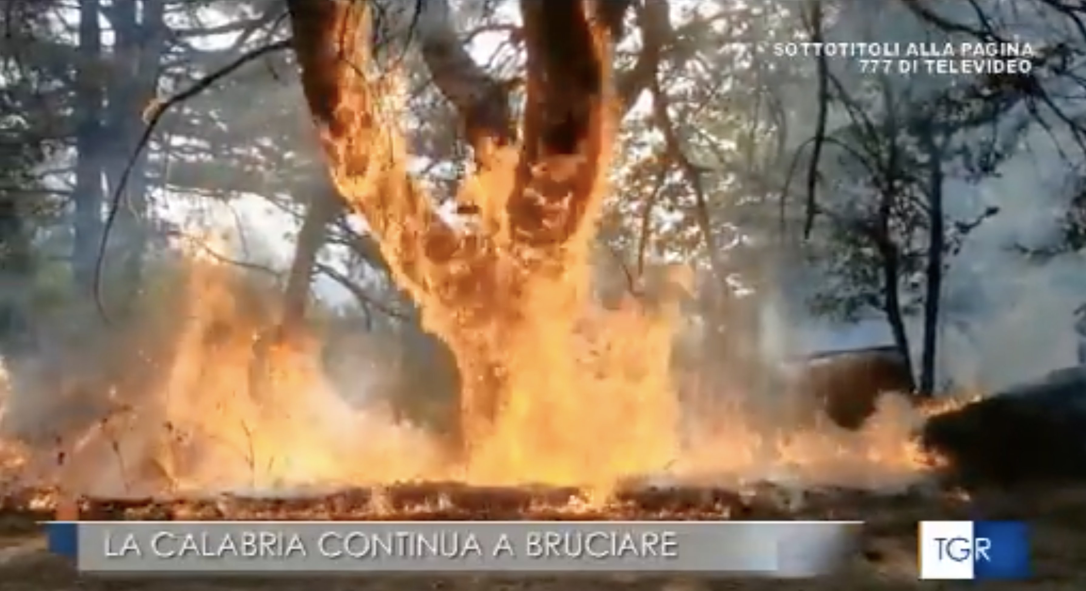 Incendi in Calabria