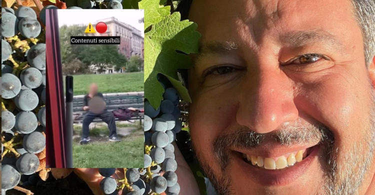 Salvini