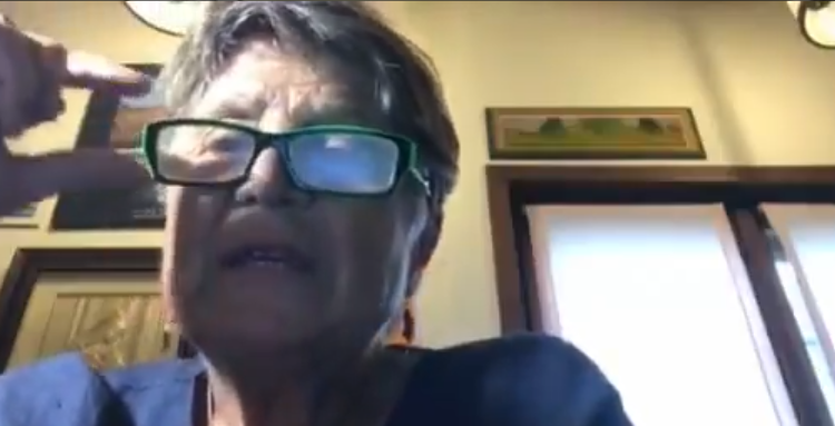 Silvana De Mari no vax sospensione