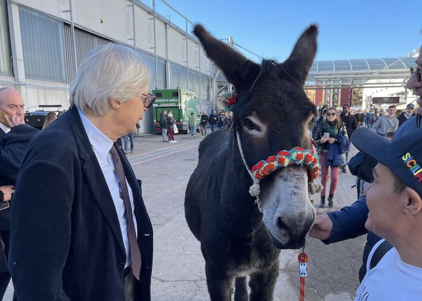 “Se un gay mi tocca le palle, lo prendo per una battuta”, l’assurdo paragone di Sgarbi sulla molestia subita da Greta Beccaglia article-post
