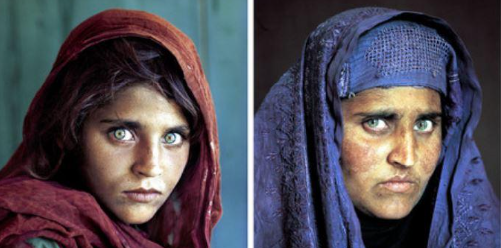sharbat gula ragazza afghana talebani afghanistan
