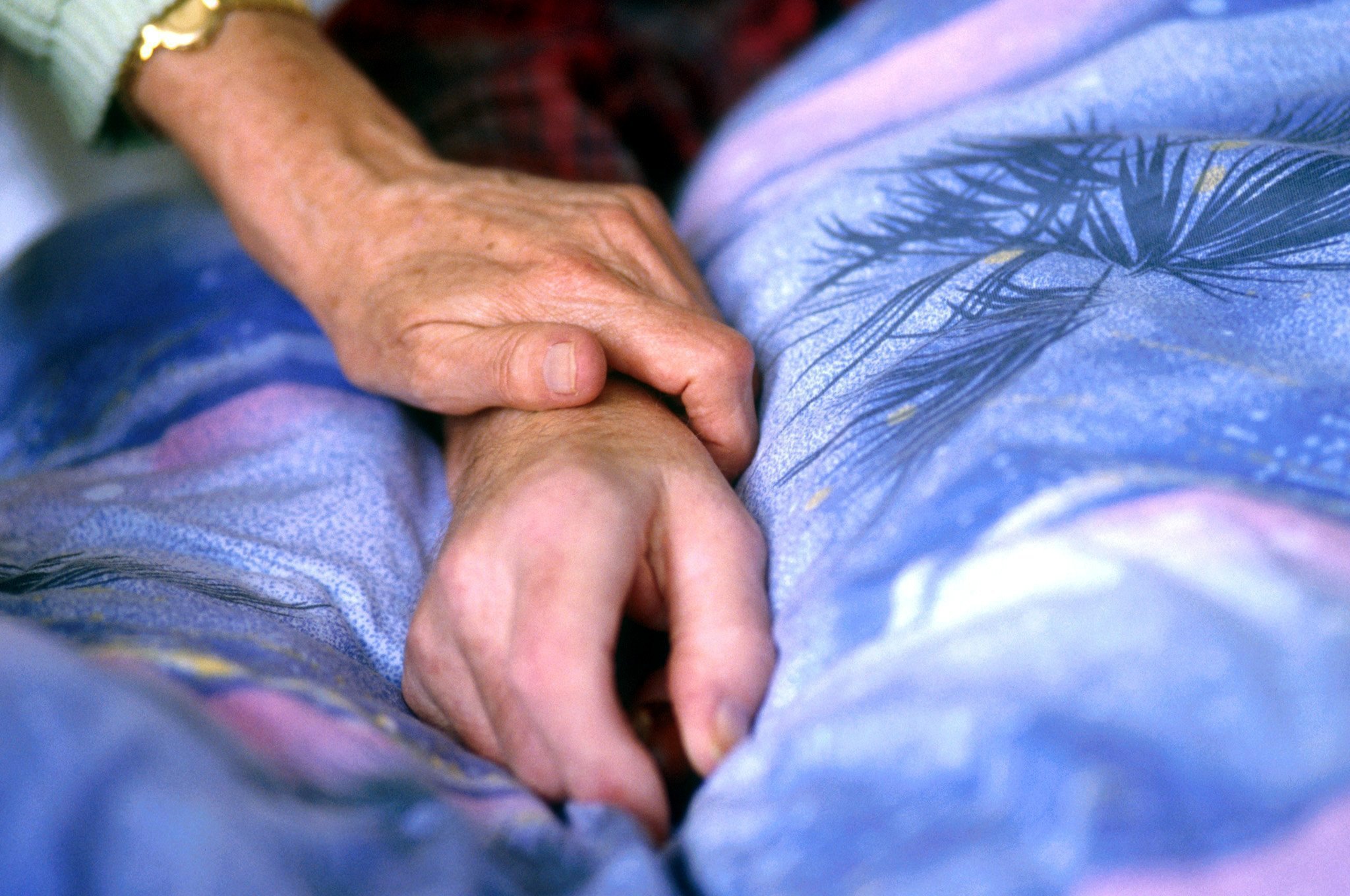 disabilità giornata 3 dicembre eutanasia