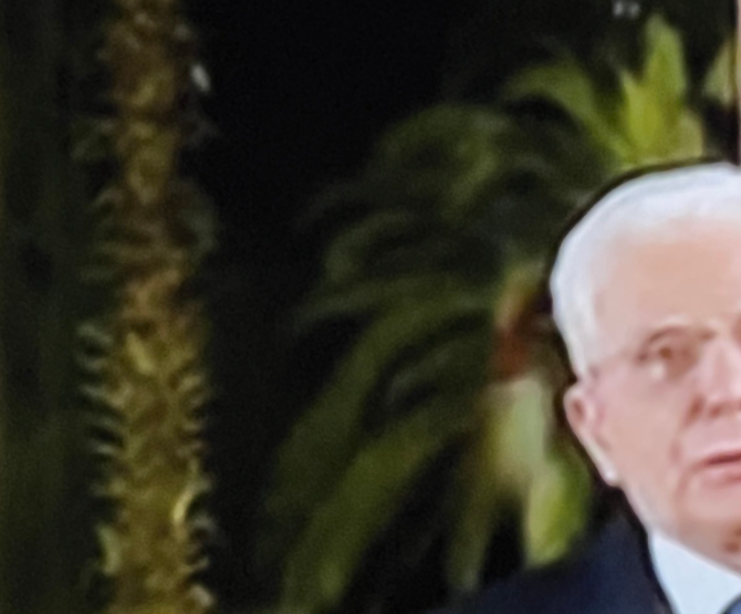 Montanari cade sulla palma… da dattero e viene blastato dal portavoce di Mattarella article-post