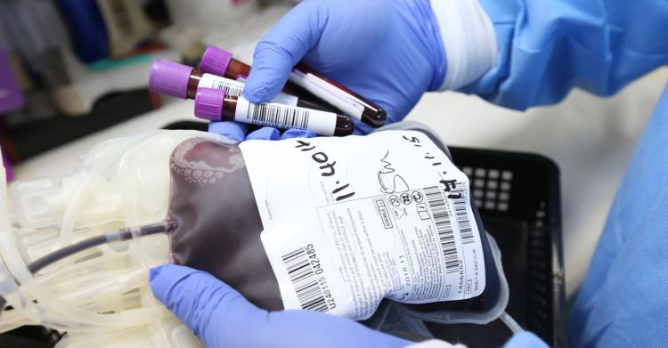donazione sangue green pass no vax avis trasfusione