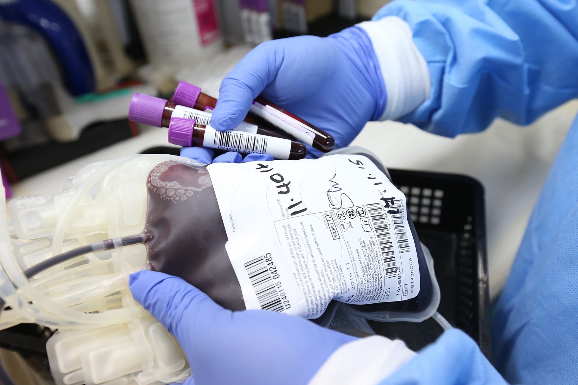 donazione sangue green pass no vax avis trasfusione