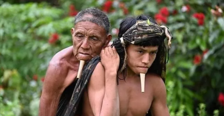 tawy wahu brasile amazzonia
