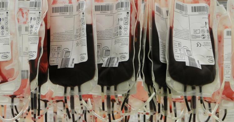sangue non vaccinati bologna