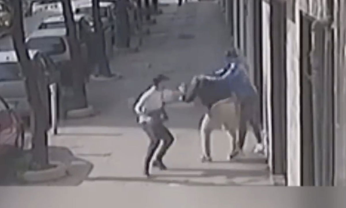 Il poliziotto aggredito durante una rapina a Casoria | VIDEO article-post