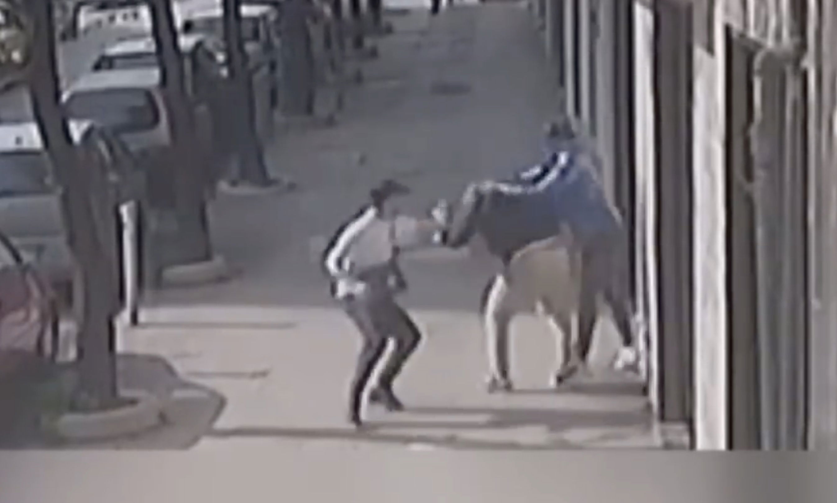 Casoria poliziotto aggredito