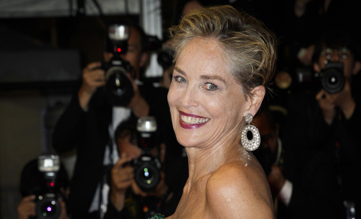 “Ho avuto 9 aborti spontanei”, Sharon Stone rivela perché non è mai riuscita ad avere figli article-post