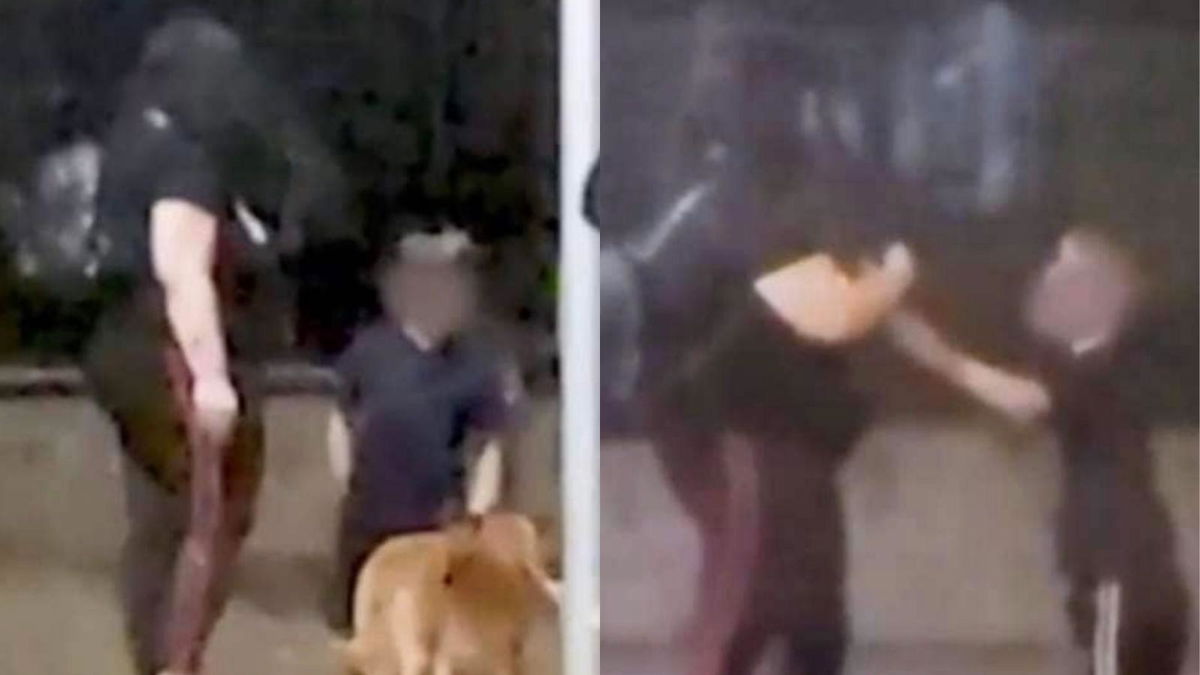 Abbandona il cane davanti al figlio legandolo ad un palo. E viene denunciata | VIDEO article-post